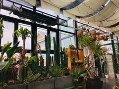 -北马山庄植趣咖啡