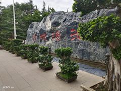 -金城公园