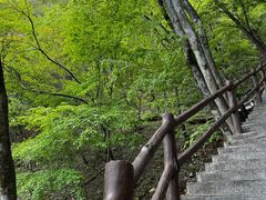 -秦岭天竺山生态文化旅游景区