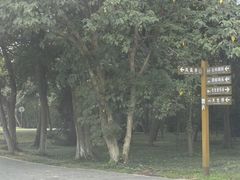 -天生桥景区