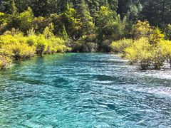 -九寨沟-树正沟