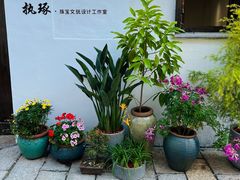 -青果巷历史文化街区