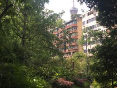 -成都市活水公园