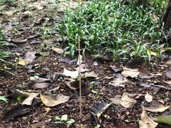 -台山颐和温泉城