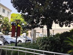 -上海市普陀区中心医院