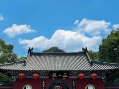 -江西龙虎山景区