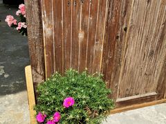 -金谷域澳洲庄园