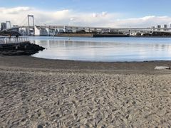 -台场海滨公园船码头