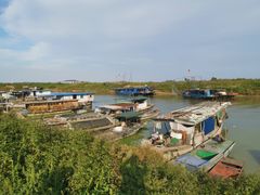-泗洪洪泽湖湿地景区