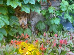 -半岛1919创意园区