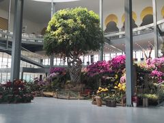 -南通洲际绿博园