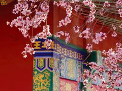 -桃花堤公园