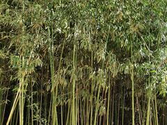 -北京国家会计学院