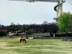 -武汉紫薇都市田园