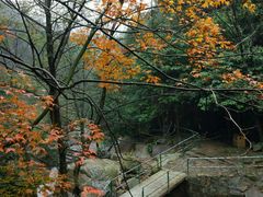山里-浙北大峡谷