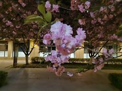 -仁恒西郊花园