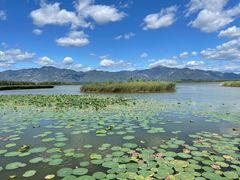 -野鸭湖国家湿地公园
