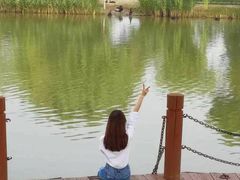 -白洋淀景区