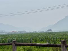 -朝族高丽火盆
