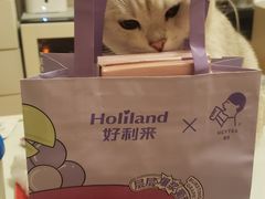 -好利来(团结湖店)