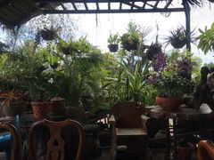 -自然餐厅(Phuket)