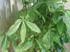-一记面馆(易发店)