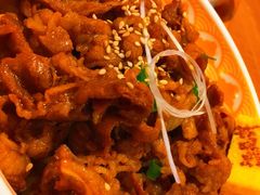 -桃花丼烧肉饭(凯丹商场店)