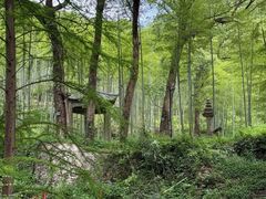 -东明山森林公园