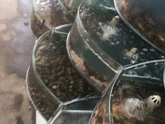 -叶存利海鲜大馅饺子(东戴河止锚湾店)
