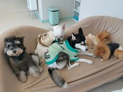 -怪兽屋·羊驼·猫咖·狗咖(俊华广场店)