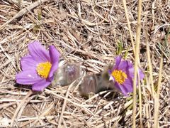 -御道口草原森林风景区-游客咨询处