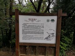 -井冈山风景名胜区-黄洋界