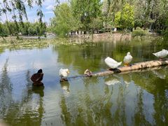 -荔湾湖公园