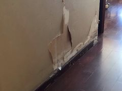 -上海中医药大学附属曙光医院(东部)