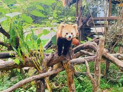 -杭州少年儿童公园