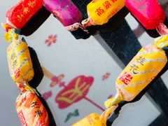 -同里湖度假村(二期店)