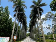 -星湖旅游景区七星岩