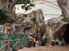 -杭州开元森泊度假乐园