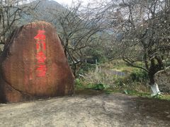 -广州市石门国家森林公园