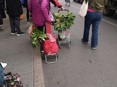 -金宝生活市场(东五环店)