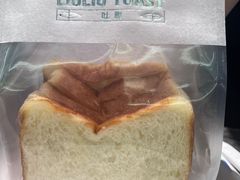 -TD66高山铁皮石斛养生茶饮