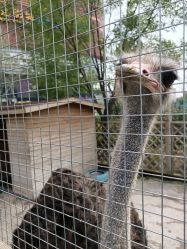 -萌宠亲子动物乐园(槐房万达店)