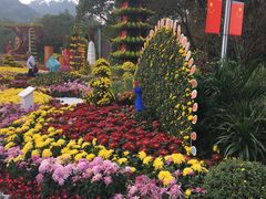-南山植物园