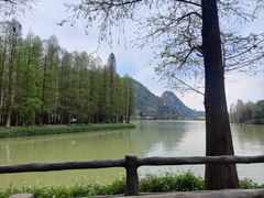 -星湖旅游景区七星岩