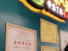 -新概念来凤鱼(璧山店)