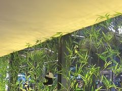 -蓉城小馆(科兴店)