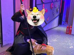 -案相推理探案馆