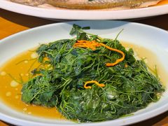 -三凤酒家·百年无锡菜(清扬茂业店)