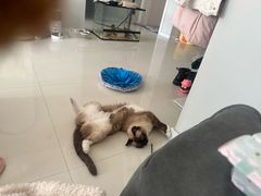 -厚富香面食店王好炸糕(延安路店)