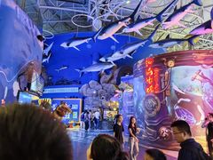 -烟台海昌鲸鲨海洋公园